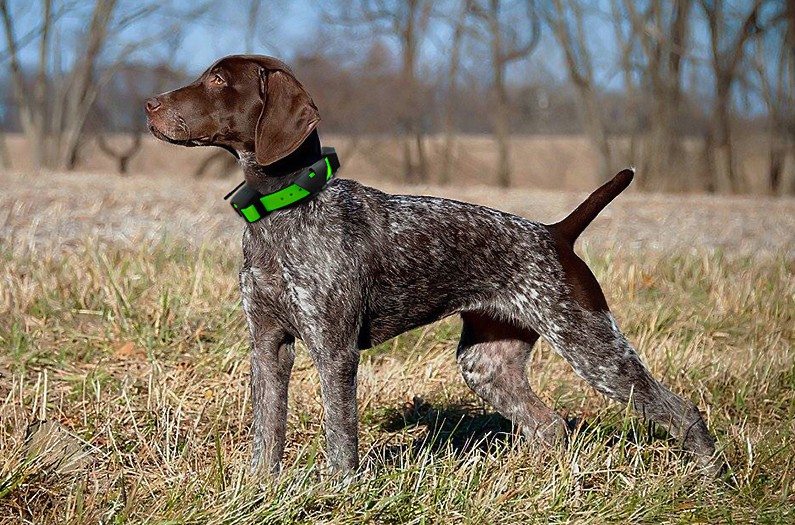 ddc23b68-4caf-4966-a255-db78bc67586f ddc23b68-4caf-4966-a255-db78bc67586f