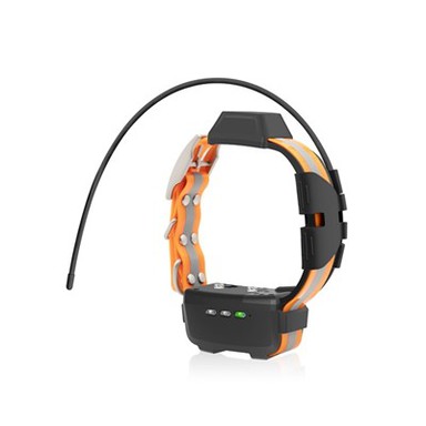 Aparèy kolye chen TR-dog®