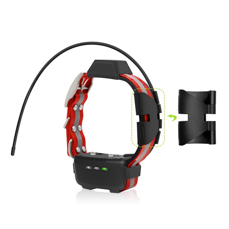 Gadò antèn pou kolye chen TR-chen